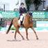 Boyd Martin Repeats Victory at Wellington Eventing Showcase